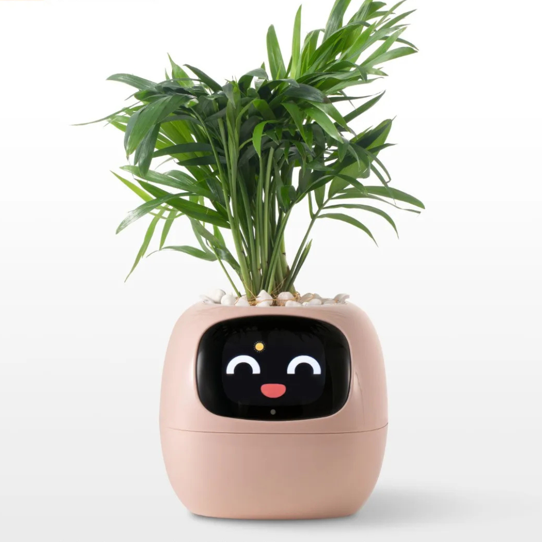 Interactive Smart Flower Pot with AI Care System, Intelligent Irrigation, Health Monitoring, Touch Screen Display - 12 Height-4