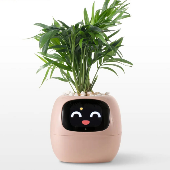 Interactive Smart Flower Pot with AI Care System, Intelligent Irrigation, Health Monitoring, Touch Screen Display - 12 Height-4