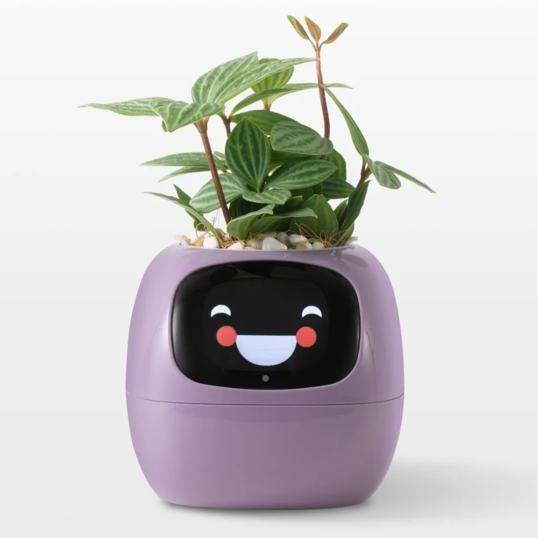 Interactive Smart Flower Pot with AI Care System, Intelligent Irrigation, Health Monitoring, Touch Screen Display - 12 Height-6