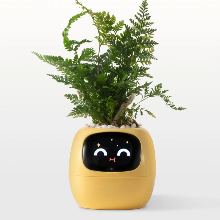 Interactive Smart Flower Pot with AI Care System, Intelligent Irrigation, Health Monitoring, Touch Screen Display - 12 Height-3