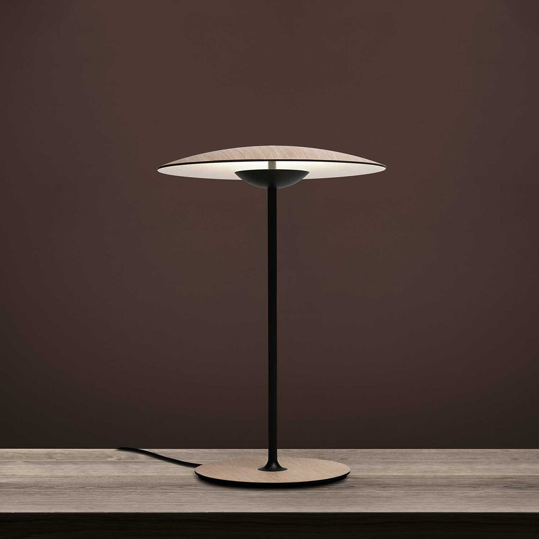 Modern Metal LED Table Lamp with Adjustable Color Temperature for Living Room and Bedroom - Stylish Bedside or Desk Lamp-6
