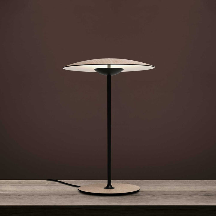 Modern Metal LED Table Lamp with Adjustable Color Temperature for Living Room and Bedroom - Stylish Bedside or Desk Lamp-6