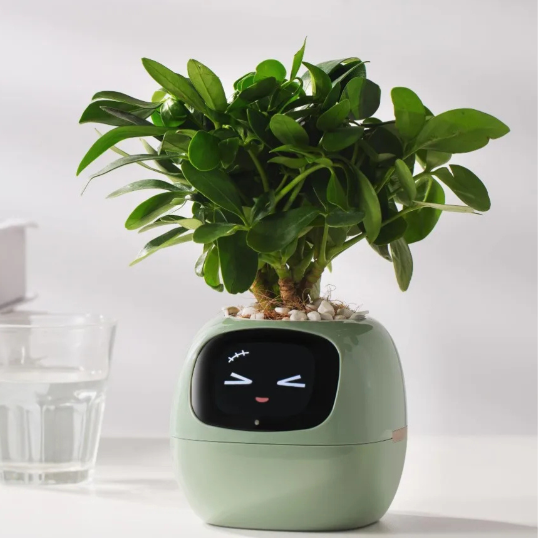 Interactive Smart Flower Pot with AI Care System, Intelligent Irrigation, Health Monitoring, Touch Screen Display - 12 Height-1