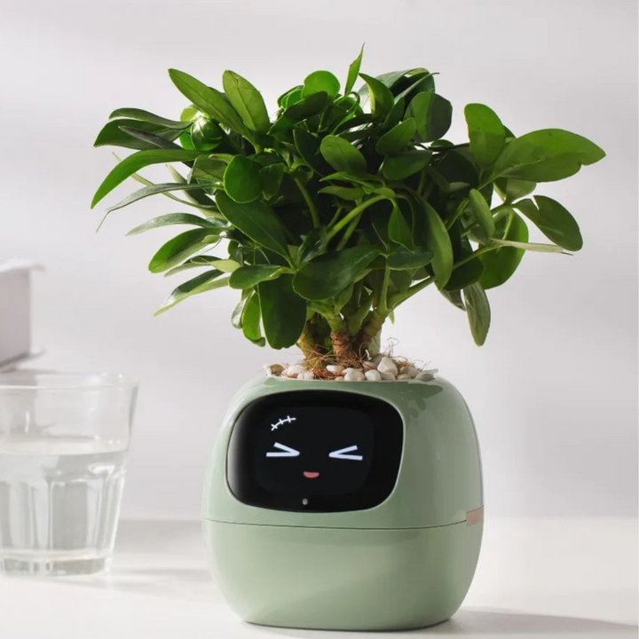 Interactive Smart Flower Pot with AI Care System, Intelligent Irrigation, Health Monitoring, Touch Screen Display - 12 Height-1